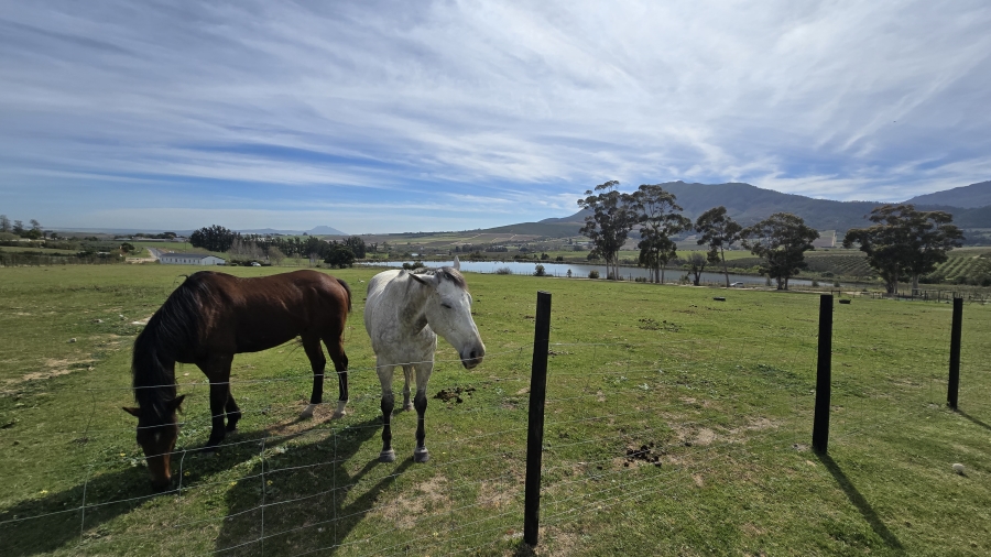 Commercial Property for Sale in Wellington Rural Western Cape